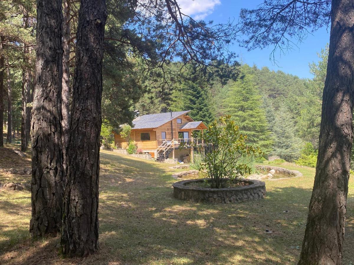 Castellar del Riu El Refugi De La Torre Espinalbet 빌라 외부 사진